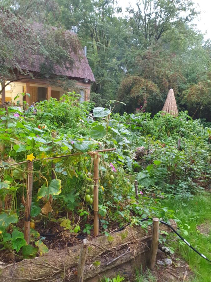 La Cabane Choussy Kültér fotó