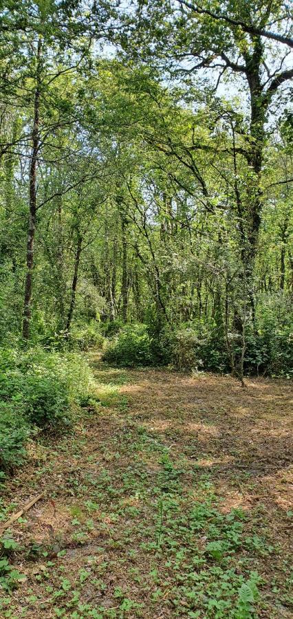 La Cabane Choussy Kültér fotó